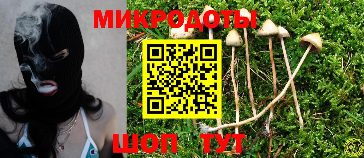 Псилоцибиновые грибы Psilocybine cubensis Гудермес