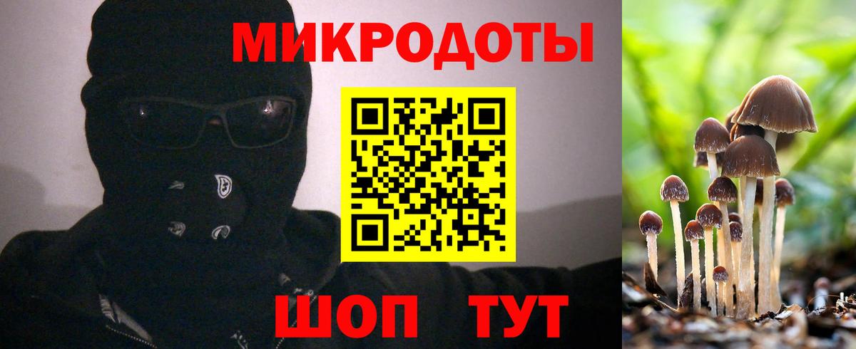 Гудермес  Галлюциногенные грибы GOLDEN TEACHER  Вход с VPN 